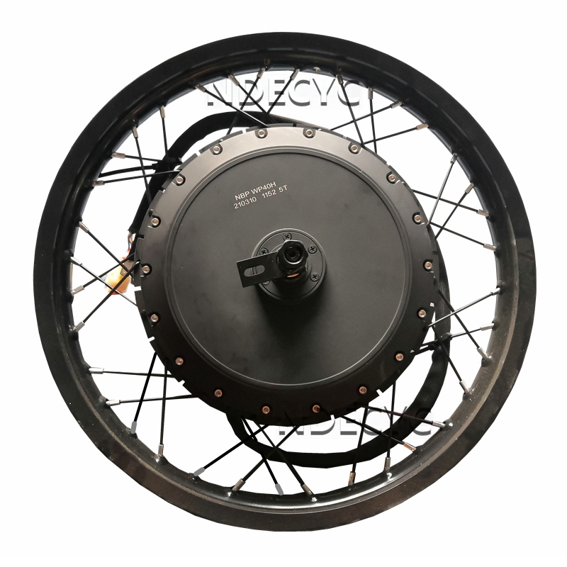 NBpower/QS V3 273 40H Мотоцикл – обзор и цена Qs Motor 273 8000W Hub Motor